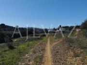 Terreno de 8100m2 em Porches