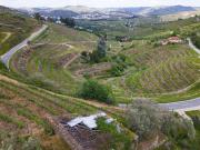 Terreno de 84 m2 à venda Lamego, Portugal