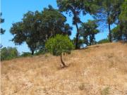 Terreno de 8ha com ruína a 5 minutos da praia da Aberta...
