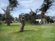 Terreno de 910m2 San Benito