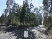 Terreno de 941 m2 à venda Oliveira de Azeméis, Aveiro