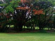 Terreno de 950 m2 en venta, Club de Golf Santa Fe