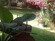Terreno de 980 mts2 con casa y local comercial EN VENTA...