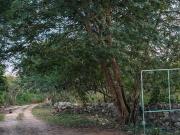 Terreno de 988 m2 en venta en Conkal