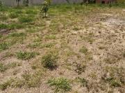 Terreno de Condomínio, Dona Catarina, Mairinque R$ 180...