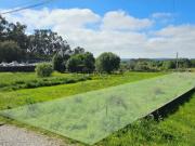 Terreno de construção em Forjães