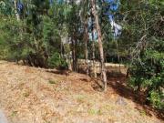 Terreno de Construção na Assanha da Paz Almagreira