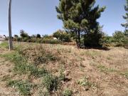 Terreno de construo em Gandra, Paredes