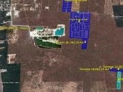 Terreno de Inversión ¡idea para desarrollar!