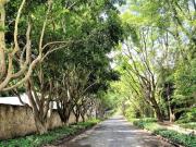 Terreno de Oportunidad en Exclusivo Condominio en el...