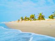 Terreno de playa frente al mar con palmeras Zorritos Tumbes Terreno de playa frente al mar con palmeras Zorritos Tumbes