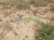 Terreno de regadío con nave