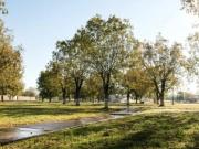 TERRENO DE REMATE, LAS TROJES, TORREON COAH