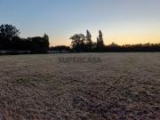 Terreno de Semeadura com 3.920 m² em Alfeizerão...