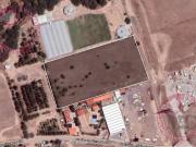 Terreno de una hectárea en Renta cerca de Nissan, al sur...