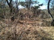 Terreno de una hectárea en venta, cerca al lago de Chapala