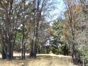 Terreno de uso comercial o habitaciona a la venta, San...