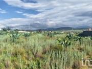 TERRENO DE USO MIXTO EN HIDALGO