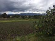 TERRENO DE VENTA 5.000 M2 PLANOS SECTOR CLUB ARRAYANES...