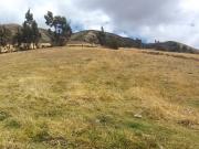Terreno de Venta Cayambe Juan Montalvo
