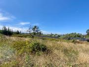 Terreno de VeNtA en Calderón de 1,5 Ha. barrio Sierra...