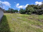 Terreno de venta en Conocoto en la Avenida Ilalo junto a...
