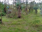 Terreno de Venta en La Merced