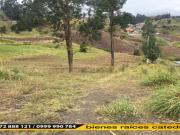 Terreno de venta en Monay Baguanchi Monay Chico –...