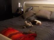 Terreno de Venta en Puembo