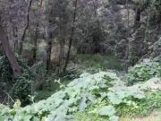 Terreno de venta en Quito Tenis alto