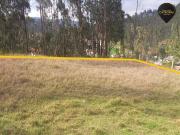 Terreno de venta en Ricaurte – código:10453