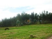 Terreno de venta en Río Amarillo – código:10020