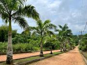 TERRENO DE VENTA EN PEDRO VICENTE MALDONADO,...