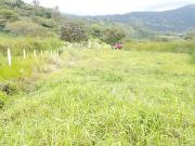 Terreno de Venta en Yunguilla