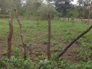 Terreno de Venta Manglaralto