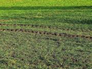 TERRENO DENSIDAD Z ESPECTACULAR