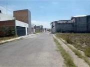 TERRENO DENTRO DE COTO, NORTE DE LUJO