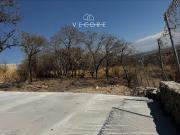 TERRENO DENTRO DE COTO PRIVADO EN LA NORIA, TONALÁ, JALISCO