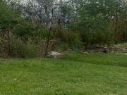 Terreno descendente Colinas de San Jeronimo