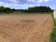 Terreno destinado a cultivo