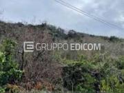 Terreno di 19 mq in vendita a Scilla Rif. 4529393