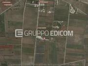 Terreno di 2776 mq in vendita a Guagnano Rif. 4530149