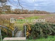 Terreno di 5000 mq in vendita a Venezia Rif. 4539376