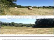 Terreno di 7600 mq in vendita a Contigliano Rif. 4540401