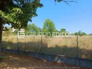 Terreno di 7810 mq in vendita a Gatteo Rif. 4518668