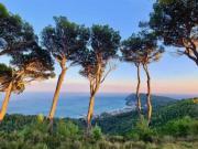 Terreno di 90000 m in vendita a Alassio