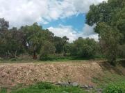 Terreno disponible en San Juan Teacalco, Temascalapa
