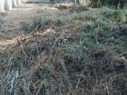 Terreno disponível Vale das Flores/Atibaia SP