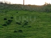 Terreno, Dois Portos e Runa, Torres Vedras | BPI...