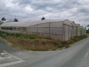 Terreno, Donostia San Sebastián